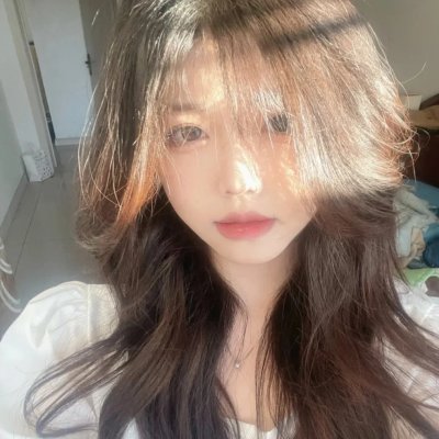 掟上今日子的备忘录